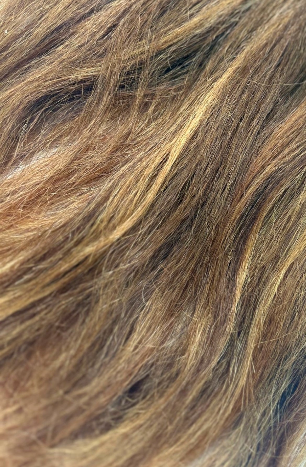 Palm Pressed Caramel Swirl Clip-Ins