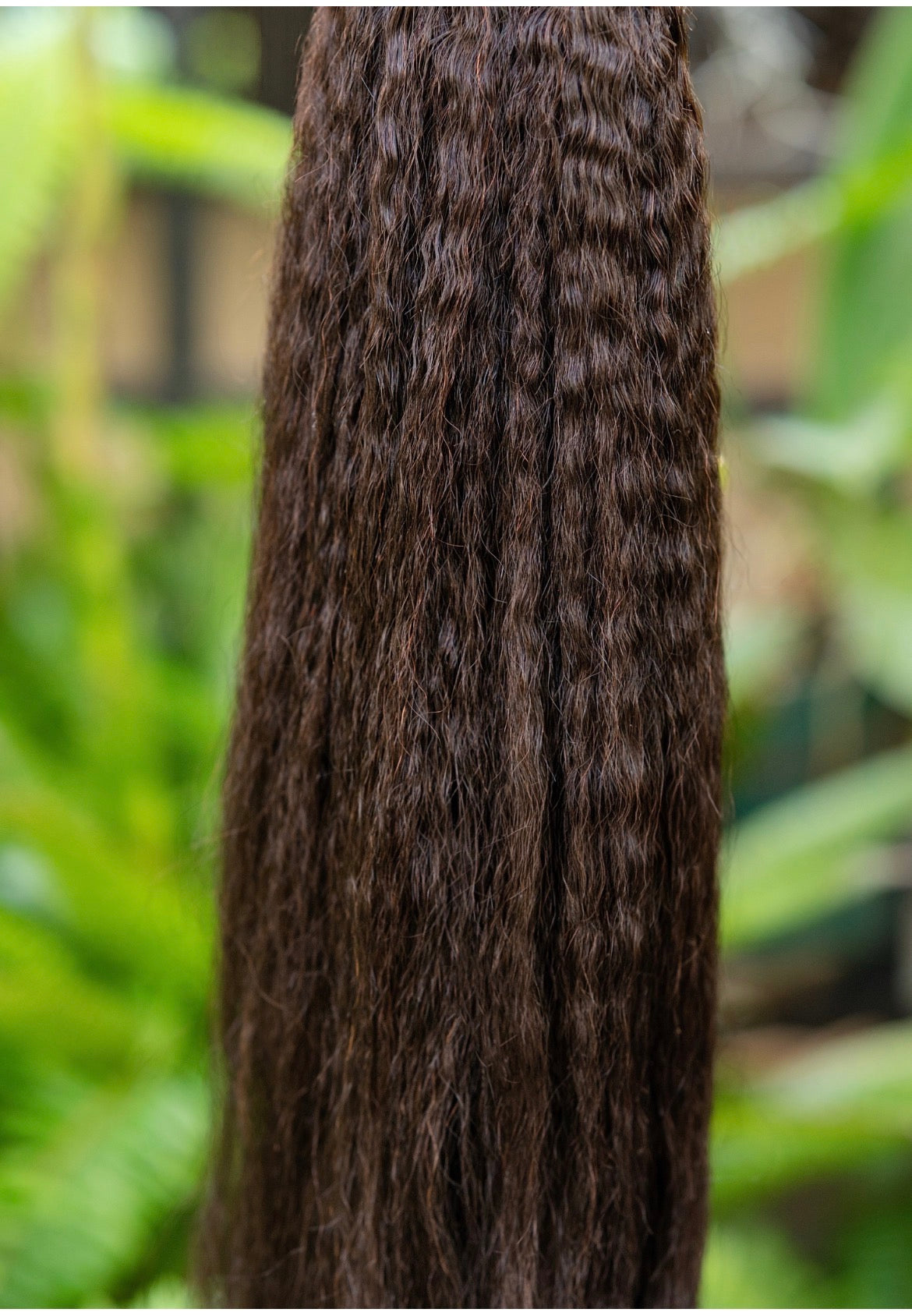 Palm Pressed Natural Bundles