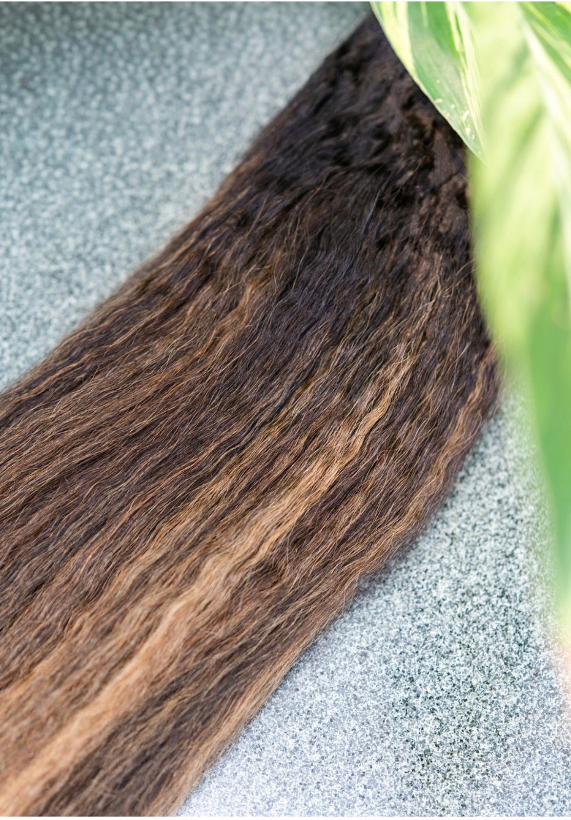 Palm Pressed Island Glow Bundles