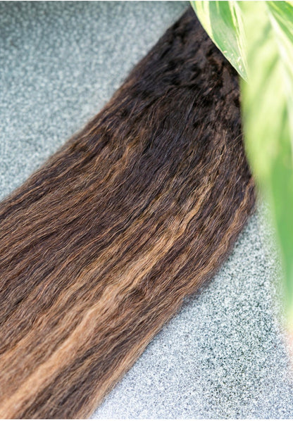 Palm Pressed Island Glow Bundles