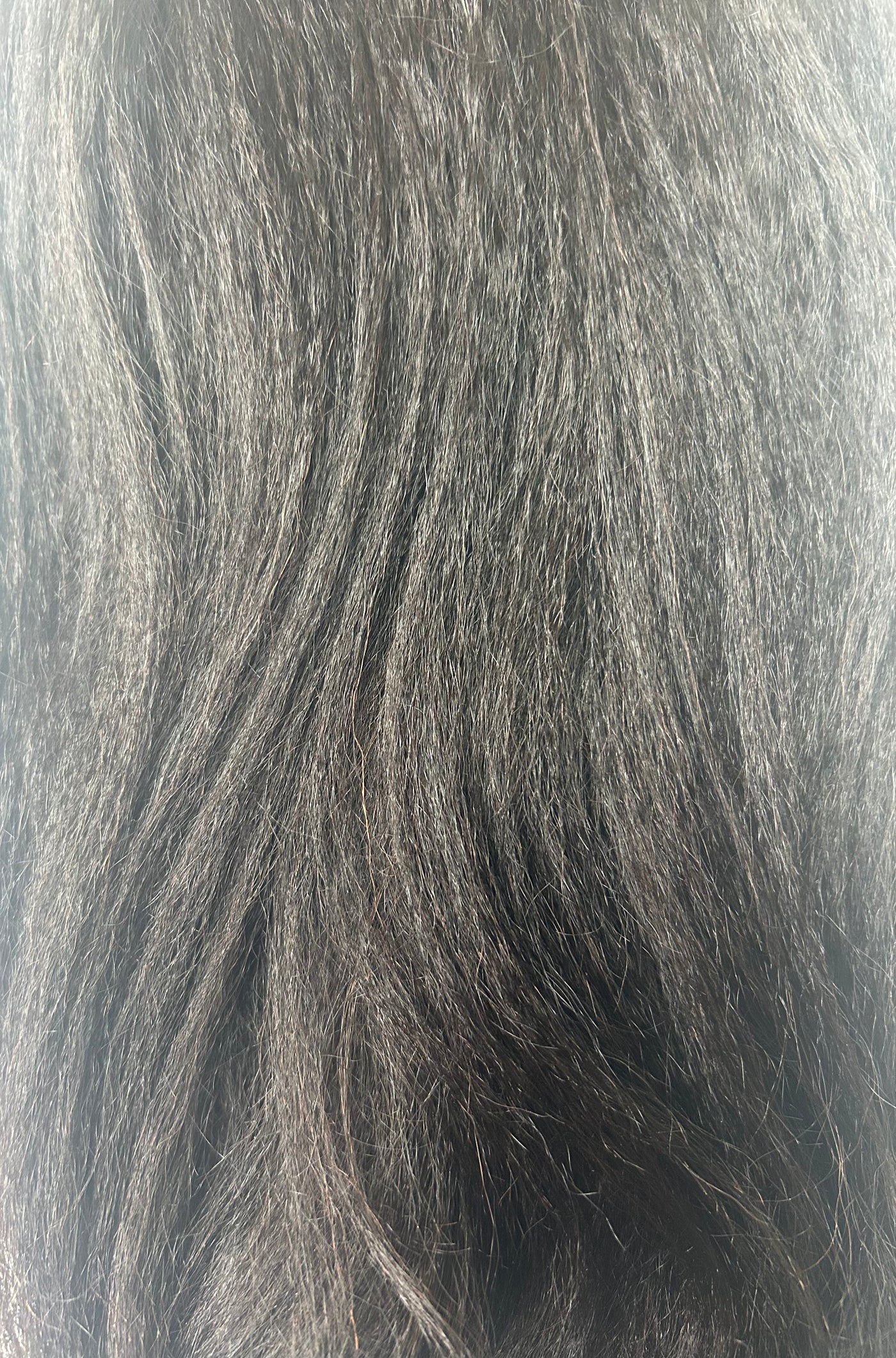 Palm Pressed Natural Bundles
