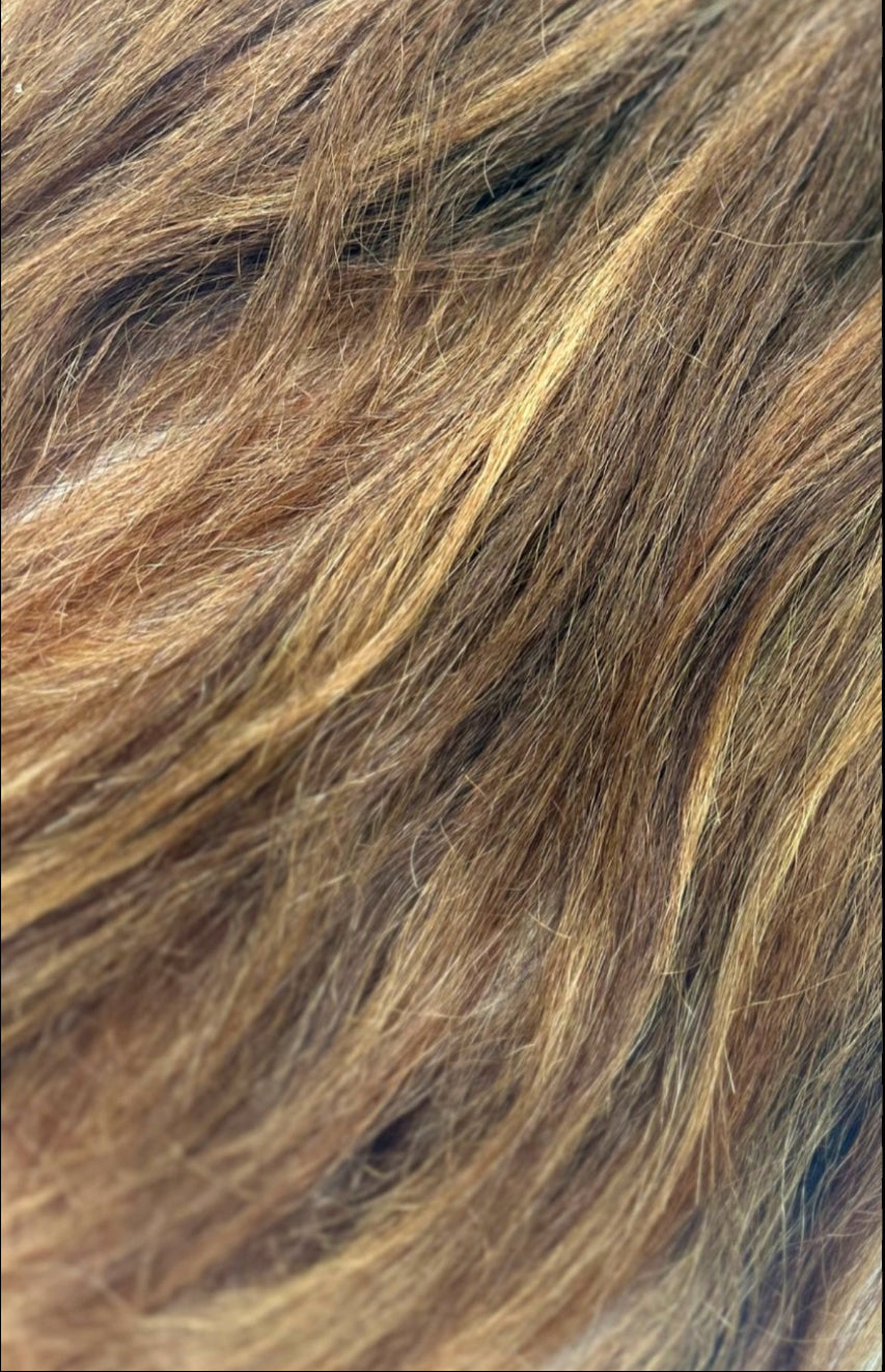 Palm Pressed Caramel Swirl Bundles