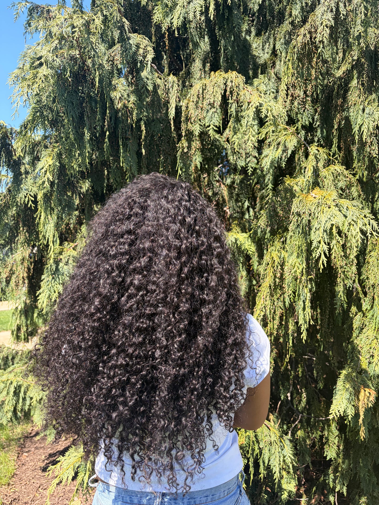 Coconut Coil Natural Bundles