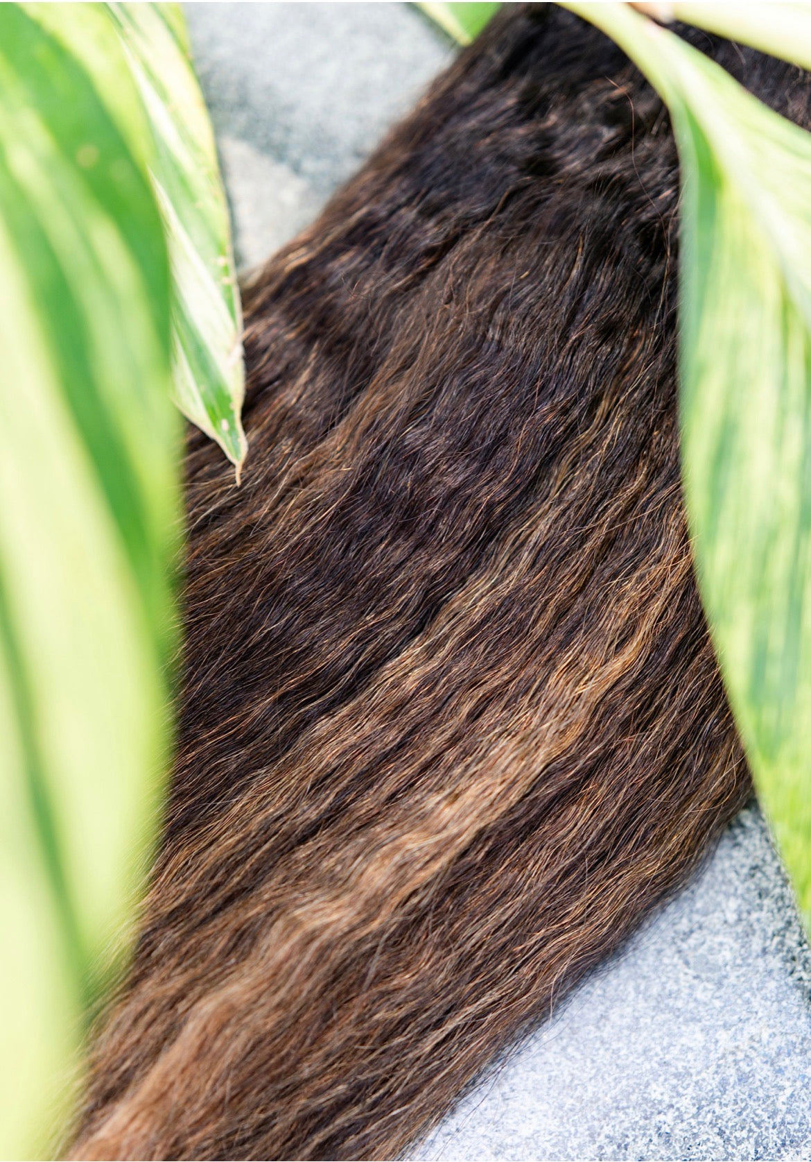 Palm Pressed Island Glow Bundles
